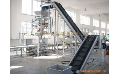 金屬纖維自動(dòng)稱重包裝線(新加坡)